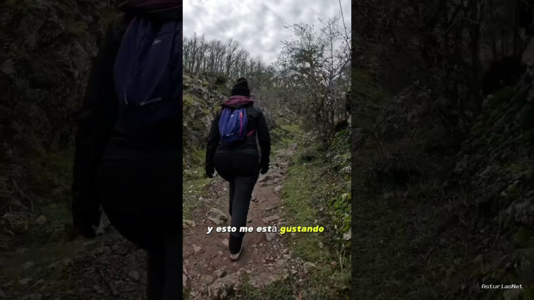 Viajar desde Asturias | 13 de diciembre de 2023 | Haciendo una ruta en el medio del bosque de Palencia