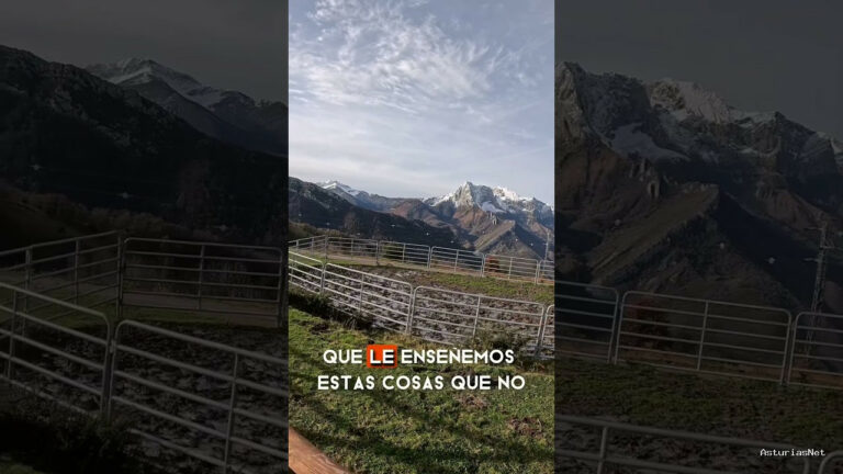 Viajar desde Asturias | 7 de diciembre de 2023 | Cercado para las vacas en el parque natural de Ponga