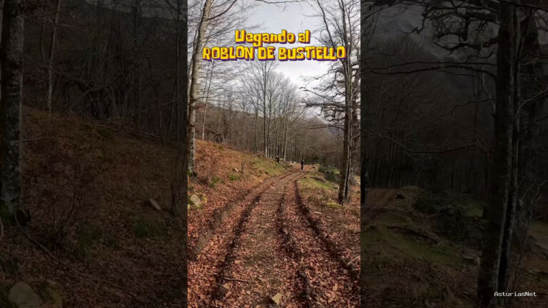 Viajar desde Asturias | 7 de diciembre de 2023 | Llegando al Roblon de Bustiello