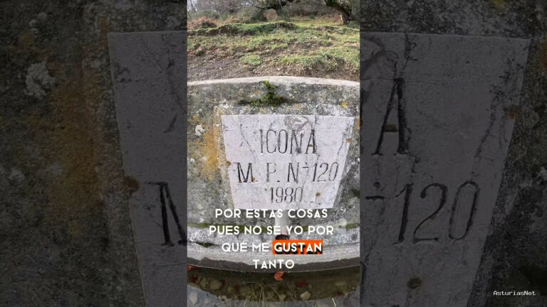 Viajar desde Asturias | 7 de diciembre de 2023 | Ser vaca aquí es lo mejor del mundo