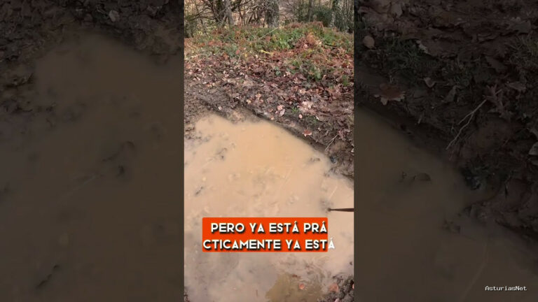 Viajar desde Asturias | 7 de diciembre de 2023 | Los charcos se congelan en Ponga
