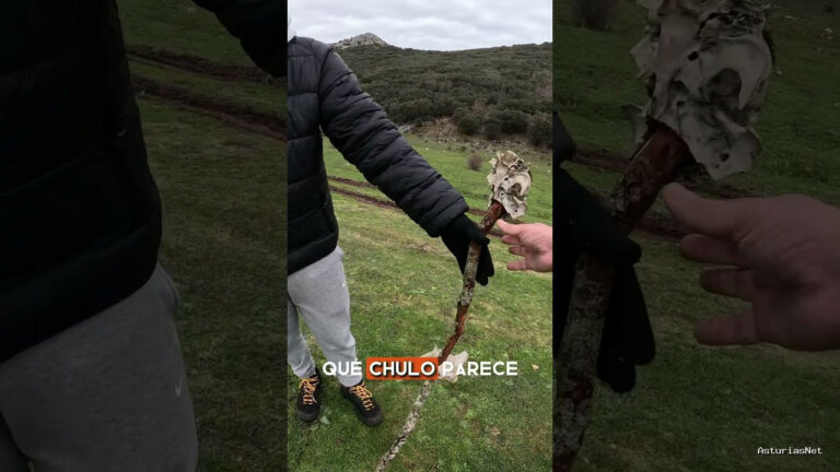 Viajar desde Asturias | 10 de diciembre de 2023 | Nos encontramos a un chico en el monte que nos enseña un original bastón