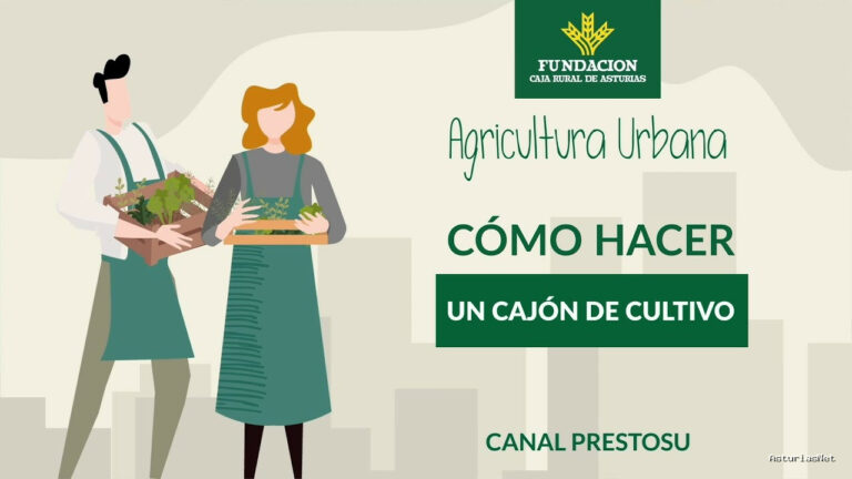Prestosu | 27 de diciembre de 2023 | Canal Prestosu | Agricultura urbana: cómo hacer un cajón de cultivo