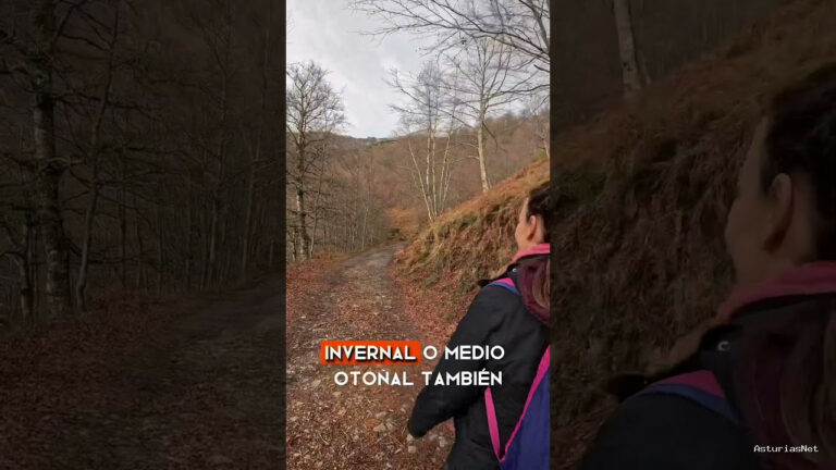 Viajar desde Asturias | 7 de diciembre de 2023 | Bosque en Asturias que amaría Tim Burton