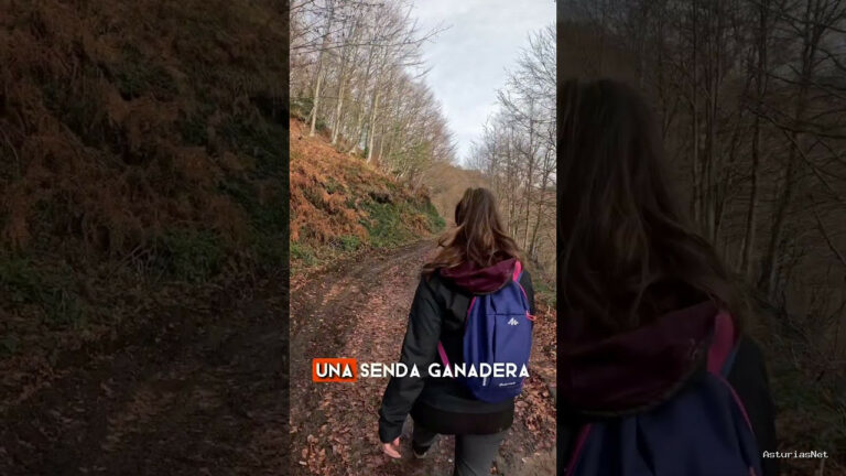 Viajar desde Asturias | 9 de diciembre de 2023 | Conclusión sobre la ruta del Roblon de Bustiello en el parque natural de Ponga