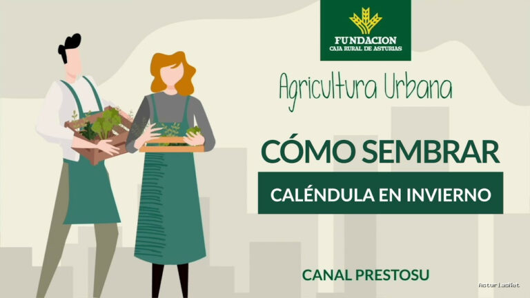 Prestosu | 20 de diciembre de 2023 | Canal Prestosu | Agricultura urbana: cómo sembrar en invierno