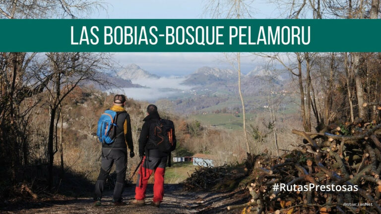 Prestosu | 21 de diciembre de 2023 | Canal Prestosu | Rutas prestosas: ruta Las Bobias – bosque Pelamoru, en