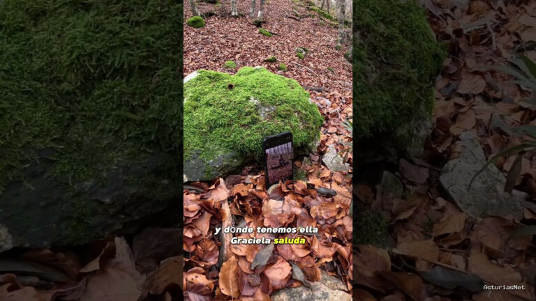 Viajar desde Asturias | 13 de diciembre de 2023 | Selfie en medio del bosque