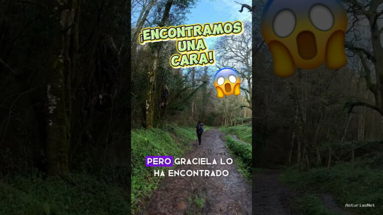 Viajar desde Asturias | 10 de enero de 2024 | Encontramos una misteriosa cara en el bosque