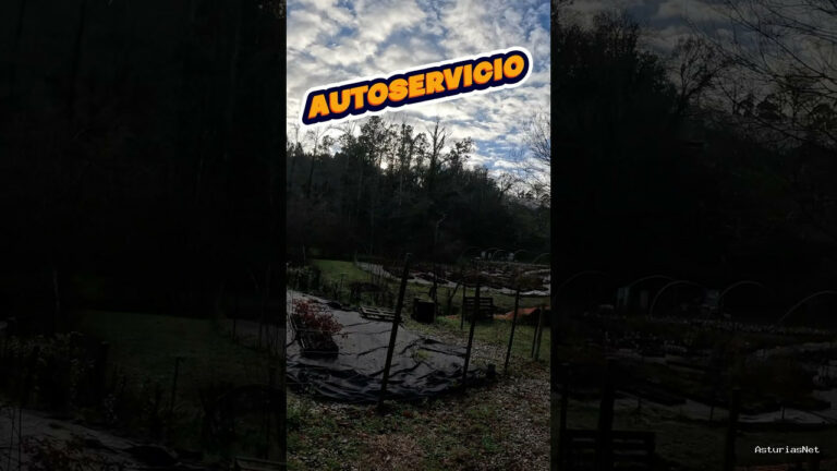 Viajar desde Asturias | 11 de enero de 2024 | Encontramos un autoservicio de frutos rojos en Asturias; Tu mismo te sirves