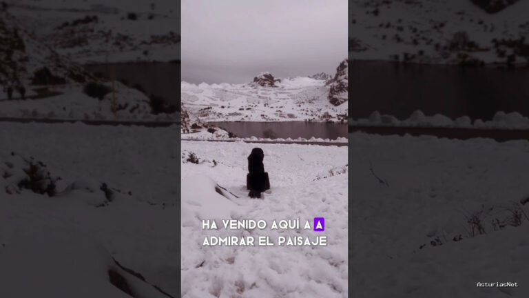 Viajar desde Asturias | 8 de enero de 2024 | Encontramos a un perro mastín pastor disfrutando de las vistas de los lagos de Covadonga