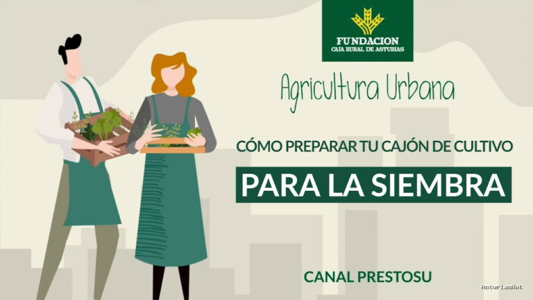 Prestosu | 24 de enero de 2024 | Canal Prestosu | Agricultura urbana: cómo preparar tu cajón de para la