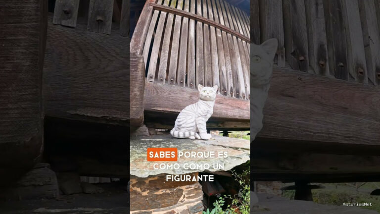 Viajar desde Asturias | 20 de enero de 2024 | Encontramos un gato de atrezo en uno de los pueblos más bonitos de Asturias