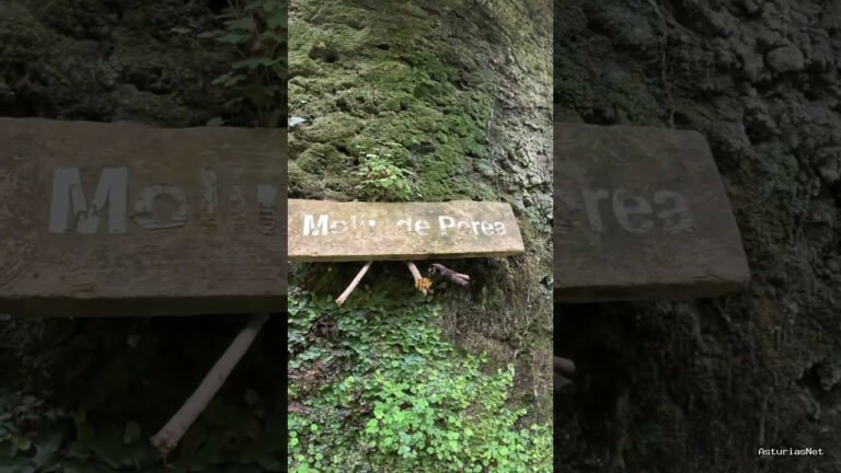 Viajar desde Asturias | 11 de enero de 2024 | Encontramos la rueda del molino