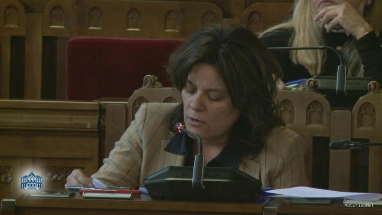 Junta General Principado de Asturias (JGPA) | 29 de febrero de 2024 | Comisión de Derechos Sociales y Bienestar