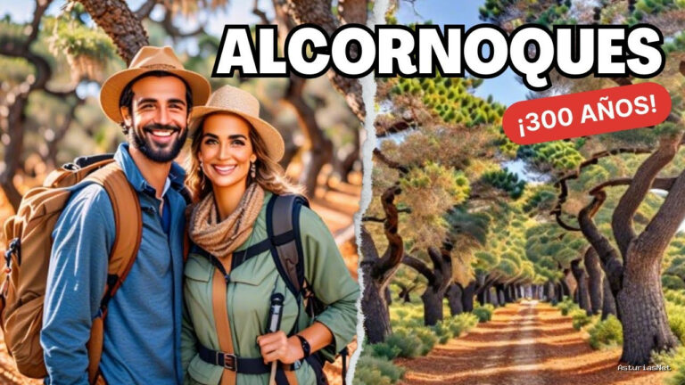 Viajar desde Asturias | 24 de marzo de 2024 | UN Bosque CON Alcornoques CON MÁS DE 300 Años
