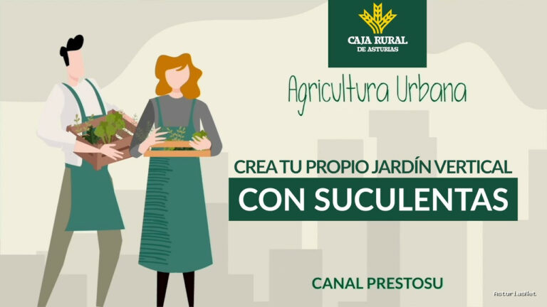 Prestosu | 13 de marzo de 2024 | Canal Prestosu | Agricultura urbana: cómo hacer un jardín vertical con