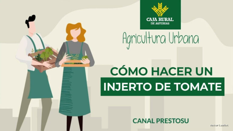 Prestosu | 17 de abril de 2024 | Canal Prestosu | Agricultura urbana: cómo hacer un de