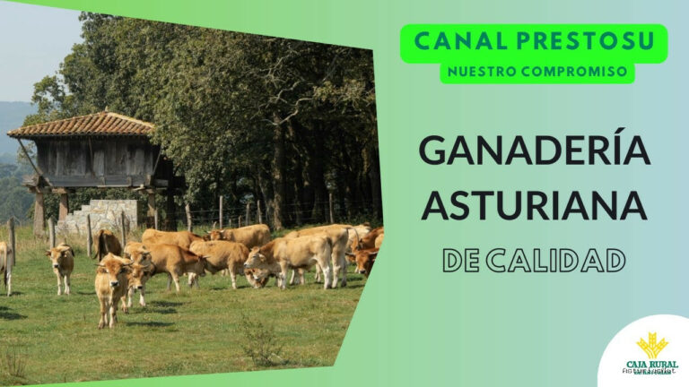 Prestosu | 5 de abril de 2024 | Canal Prestosu | Nuestro compromiso con Asturias: apostamos por la ganadería asturiana de calidad