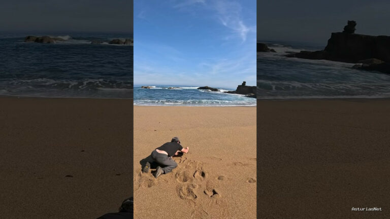 Viajar desde Asturias | 16 de abril de 2024 | Tenemos unos amigos que se dedican a hacer muñecos con bellotas