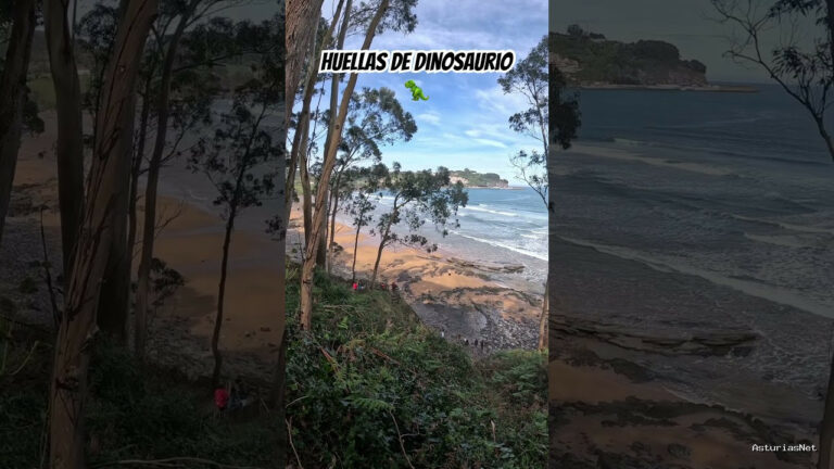 Viajar desde Asturias | 18 de abril de 2024 | Vemos huellas de dinosaurio en una playa cerca de Colunga