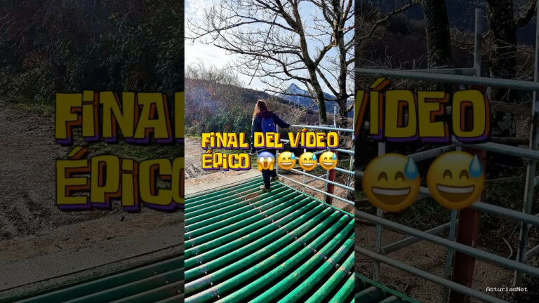 Viajar desde Asturias | 19 de abril de 2024 | Esto sirve para que las vacas no escapen de donde están en el monte