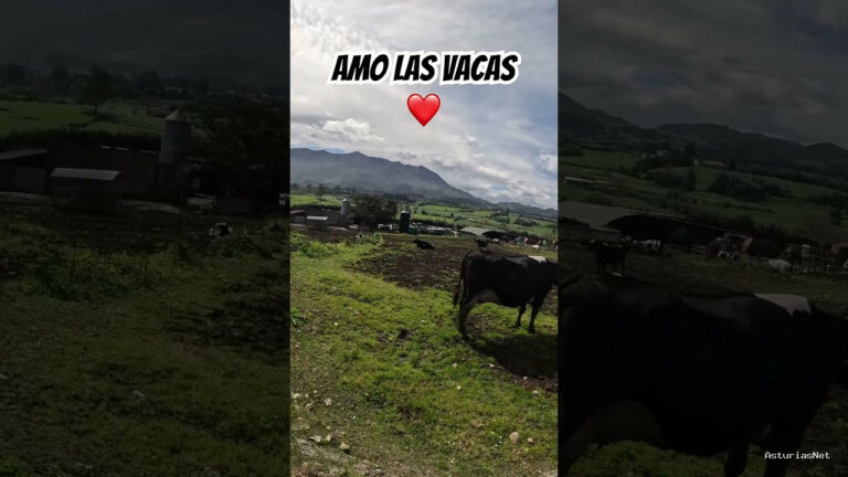 Viajar desde Asturias | 18 de abril de 2024 | Disfrutamos de un paseo al lado del mar cantábrico viendo las vacas