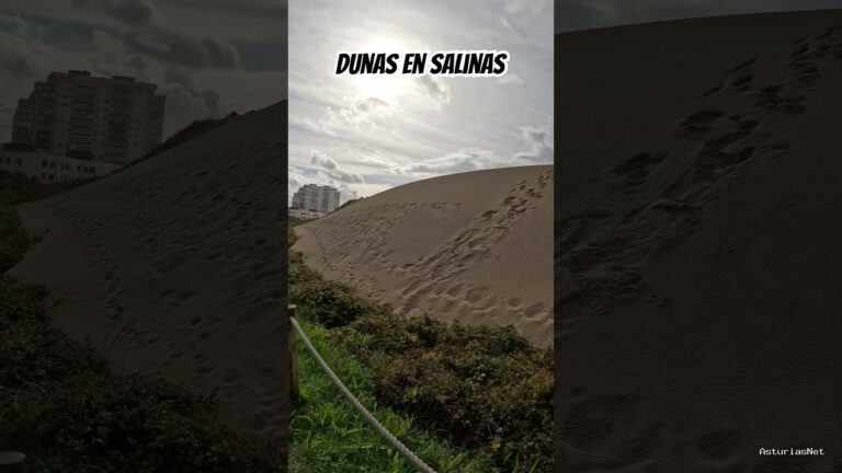 Viajar desde Asturias | 29 de abril de 2024 | Visitamos un espacio natural protegido en Salinas. Las dunas del espartal.