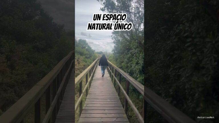 Viajar desde Asturias | 29 de abril de 2024 | Un espacio natural único en el centro de Asturias. Dunas del Espartal
