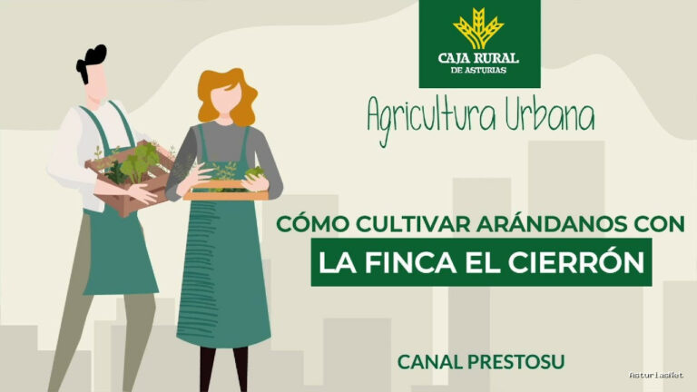 Prestosu | 24 de abril de 2024 | Canal Prestosu | Agricultura urbana: plantas de frutos del bosque, con Arándanos el Cierrón