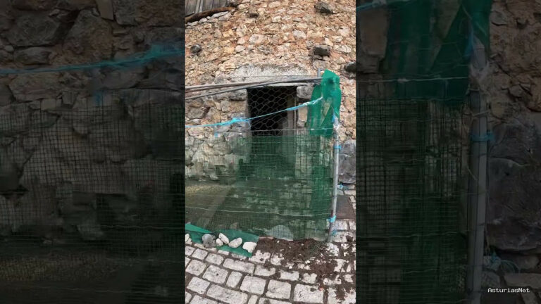 Viajar desde Asturias | 28 de abril de 2024 | Aprovechando esta casa vieja han hecho un gallinero