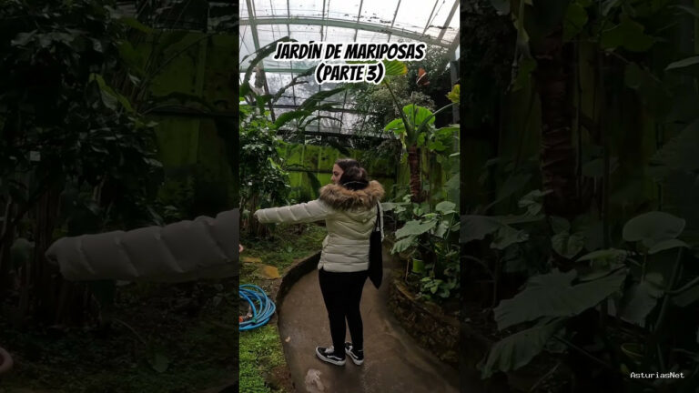 Viajar desde Asturias | 2 de mayo de 2024 | Paseamos por un jardín de mariposas en el norte de España