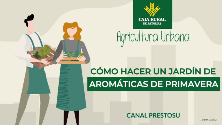 Prestosu | 8 de mayo de 2024 | Canal Prestosu | Agricultura urbana: cómo hacer un de aromáticas de primavera