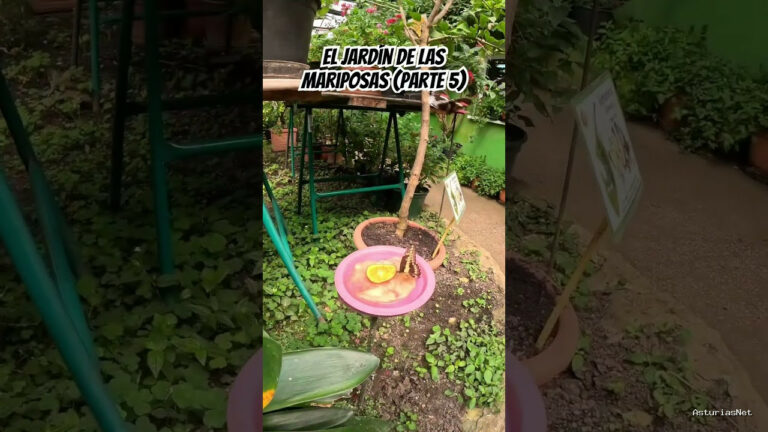 Viajar desde Asturias | 2 de mayo de 2024 | El jardín de mariposas más bonito en el que hemos estado