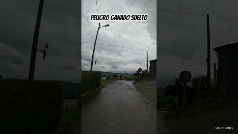 Viajar desde Asturias | 19 de mayo de 2024 | Peligro ganado suelto