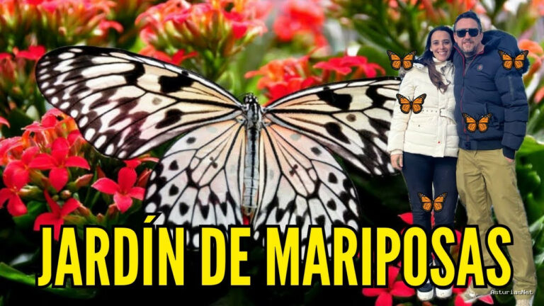Viajar desde Asturias | 15 de mayo de 2024 | Visitamos UN Jardín DE Mariposas
