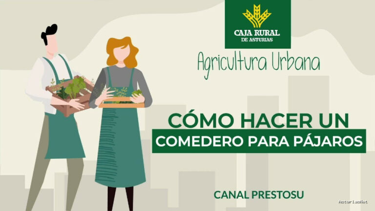 Prestosu | 1 de mayo de 2024 | Canal Prestosu | Agricultura urbana: cómo hacer un comedero para pájaros