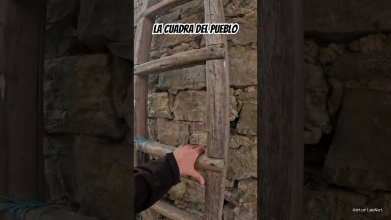 Viajar desde Asturias | 19 de mayo de 2024 | Visitamos una cuadra en uno de los pueblos más bonitos de Sariego