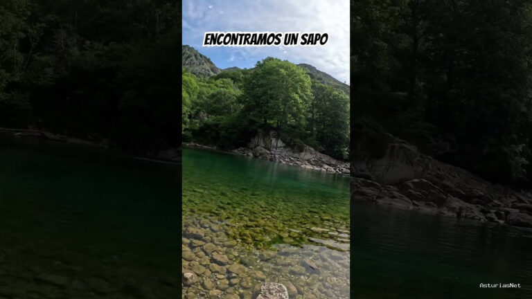 Viajar desde Asturias | 13 de mayo de 2024 | Un sapo intenta esconderse en un lugar único en Asturias
