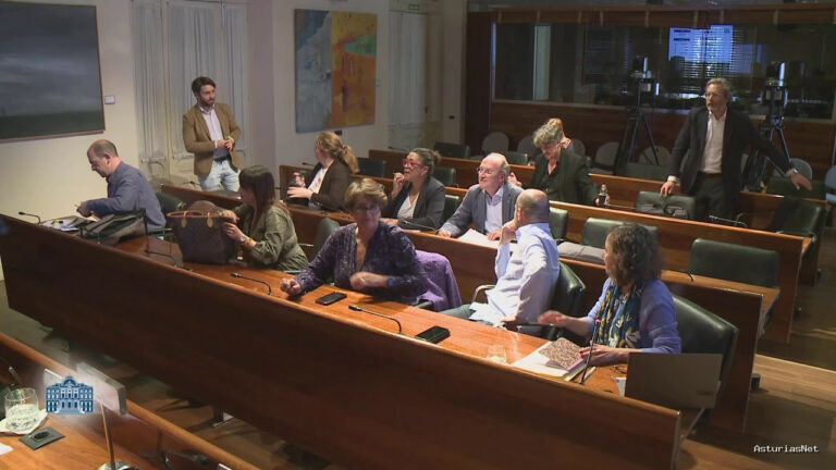 Junta General Principado de Asturias (JGPA) | 9 de mayo de 2024 | Comisión de Ciencia, Empresas, Formación y Empleo