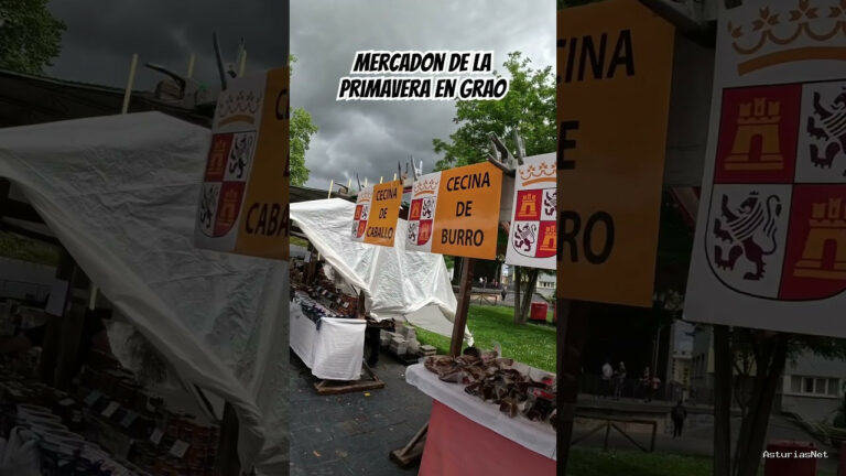 Viajar desde Asturias | 19 de mayo de 2024 | Visitamos el mercado de la primavera en grao. Esta es una muestra de los productos que encontramos