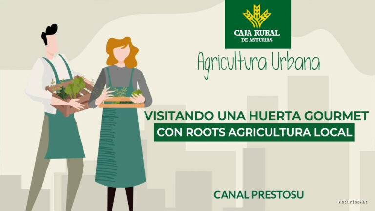 Prestosu | 29 de mayo de 2024 | Canal Prestosu | Agricultura urbana: visitamos la gourmet de Roots Agricultura Local