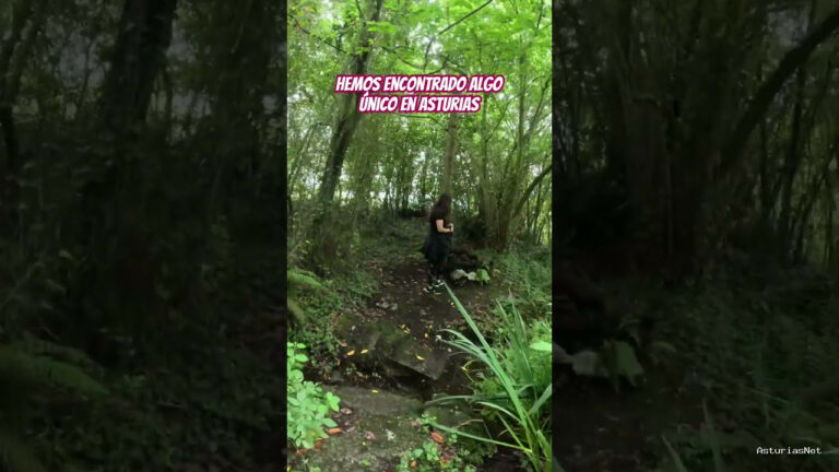 Viajar desde Asturias | 23 de junio de 2024 | Hemos encontrado una escultura de madera única en Asturias