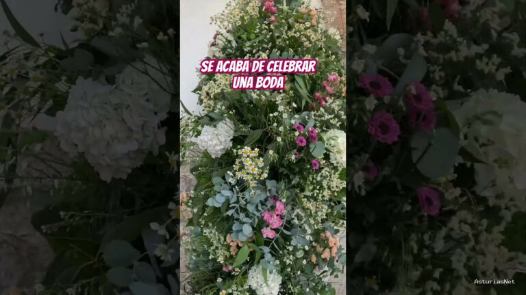 Viajar desde Asturias | 4 de junio de 2024 | Se acaba de celebrar una boda en la iglesia de niembru