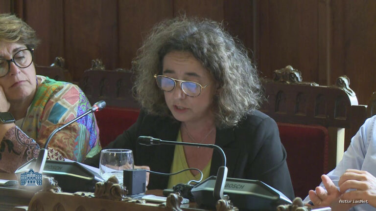 Junta General Principado de Asturias (JGPA) | 20 de junio de 2024 | Comisión de Ciencia, Empresas, Formación y Empleo