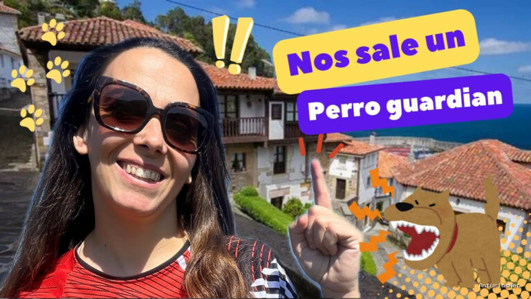 Viajar desde Asturias | 3 de junio de 2024 | NOS Sale UN Perro Guardián Visitando Pueblos