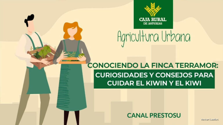 Prestosu | 26 de junio de 2024 | Canal Prestosu | Agricultura urbana: los mejores consejos sobre el universo del ​con Terramor