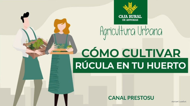 Prestosu | 5 de junio de 2024 | Canal Prestosu | Agricultura urbana: cómo cultivar rúcula en tu