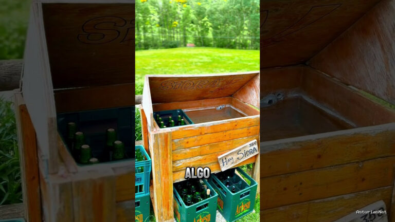 Viajar desde Asturias | 29 de junio de 2024 | Os enseñamos el funcionamiento de un mueble enfriador de sidra