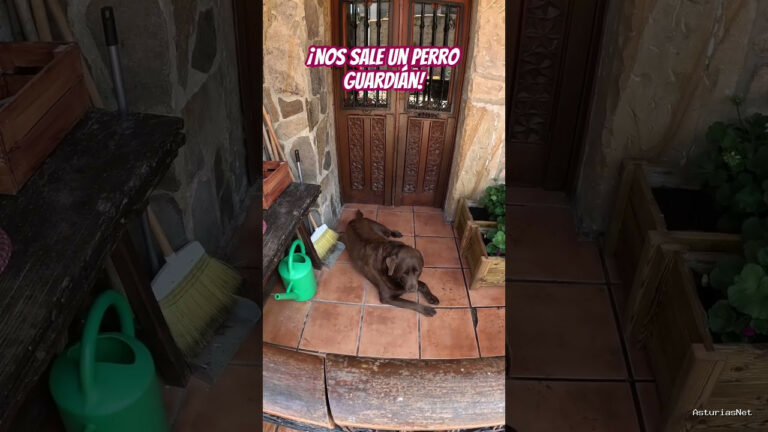 Viajar desde Asturias | 2 de junio de 2024 | Nos sale un perro guardián en una casa decorada con flores